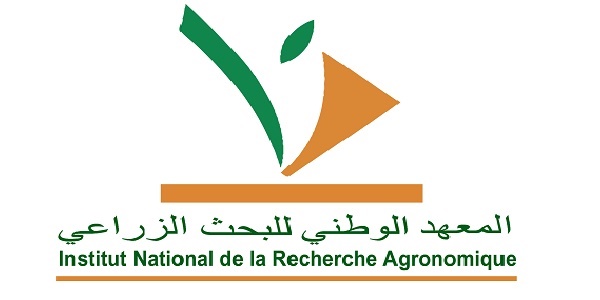المعهد الوطني للبحث الزراعي : مباريات لتوظيف 30 مناصب. آخر أجل 21 ماي 2026