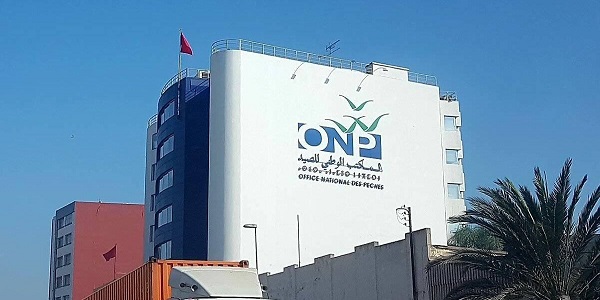 المكتب الوطني للصيد ONP : مباريات لتوظيف 23 مناصب. آخر أجل 3 يوليوز 2026